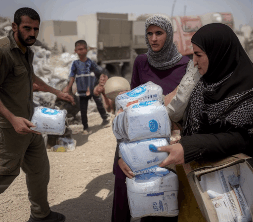 Urgent Need in Gaza: Support Delivery Of Infant Formula And Baby Supplies