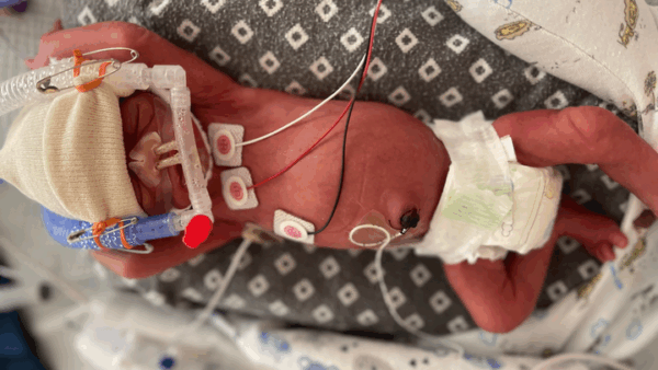 https://sadik-o.com - Mother's courage under fire: Help Genevieve conquer cancer!