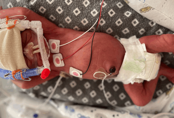 https://sadik-o.com - Mother's courage under fire: Help Genevieve conquer cancer!