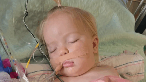 https://sadik-o.com - Donate to sweet Cara's Recovery