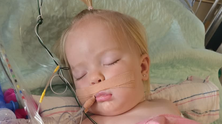 Donate to sweet Cara’s Recovery