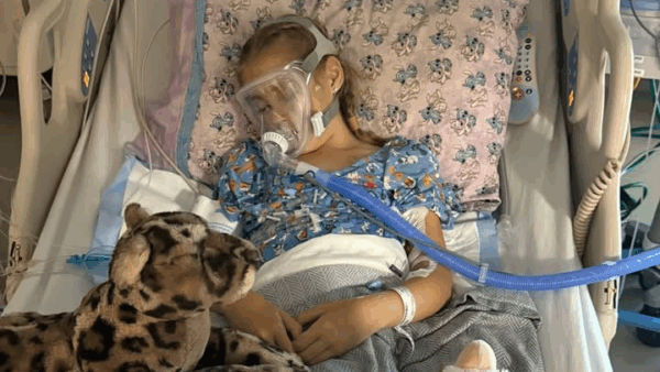 https://sadik-o.com - Join Charlotte's Heart Fight