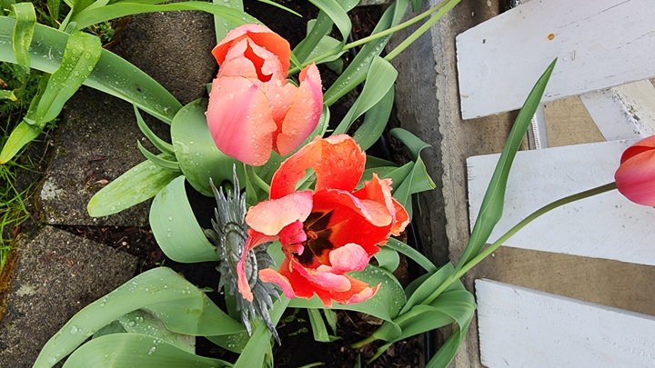 A Grandmother’s Grief: Supporting My Family After a lost