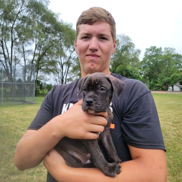 Help Jack's Family After Tragic Loss - Image 3