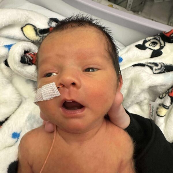 Support Grayson Warner's Celebration of Life - Image 4