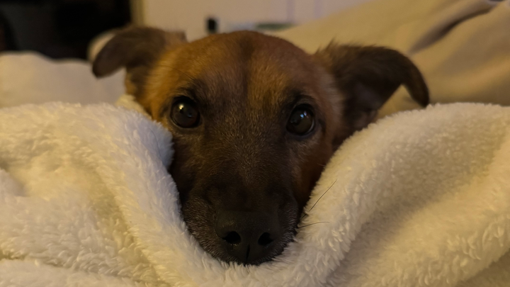 Help support Gretchen & Winnie!