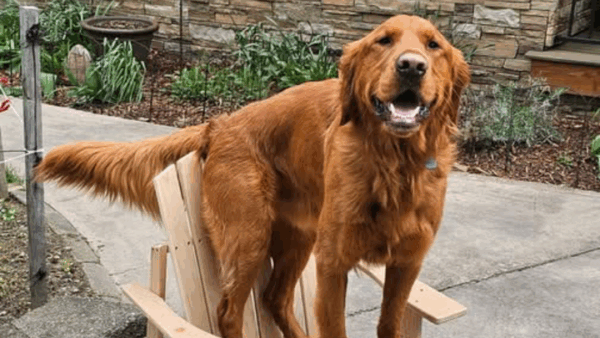 https://sadik-o.com - Positive thoughts and Prayers for Clifford