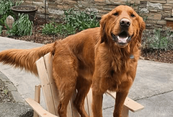 https://sadik-o.com - Positive thoughts and Prayers for Clifford