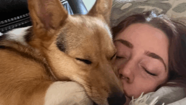 https://sadik-o.com - Help WillowBee Walk Again