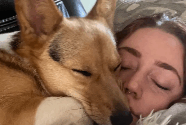 https://sadik-o.com - Help WillowBee Walk Again