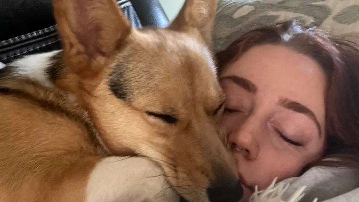 Help WillowBee Walk Again