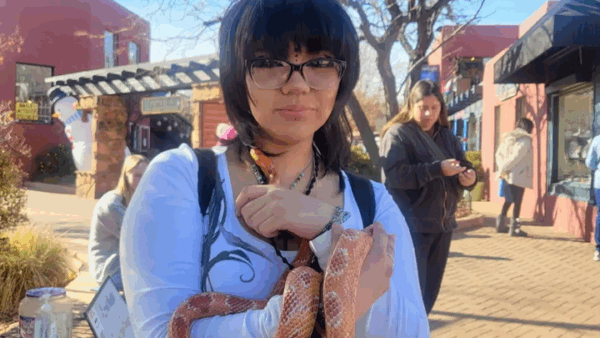 https://sadik-o.com - Support Genesis's Family in Their Time of Loss