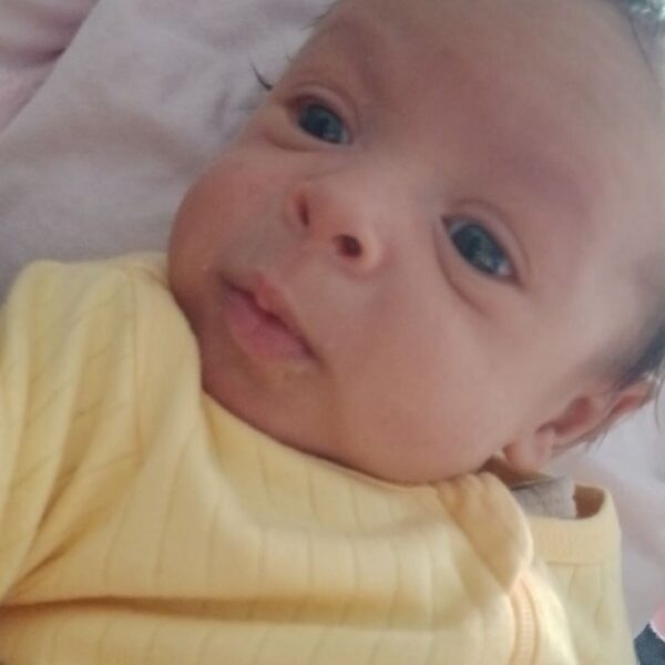 Support Zakias' Family in Their Time of Loss - Image 2