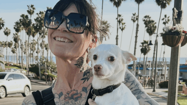https://sadik-o.com - Support Ashley's Recovery: Horse Accident