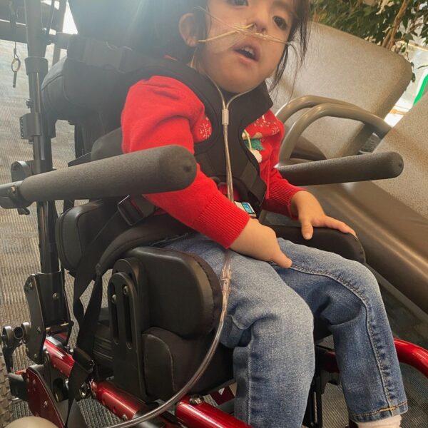 Support Deniz's Family in Their Time of Loss - Image 3