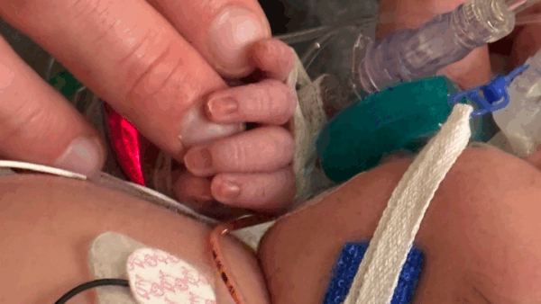 https://sadik-o.com - Help Bella and Trevor Care for Baby Hazel