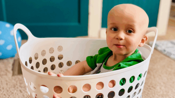 https://sadik-o.com - Ace's Brave Journey Against Cancer