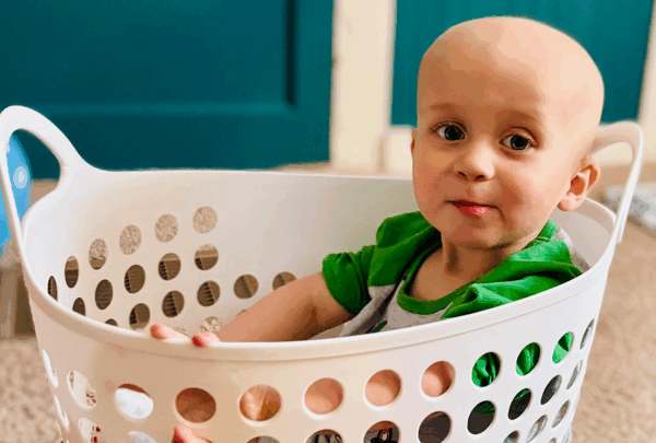 https://sadik-o.com - Ace's Brave Journey Against Cancer