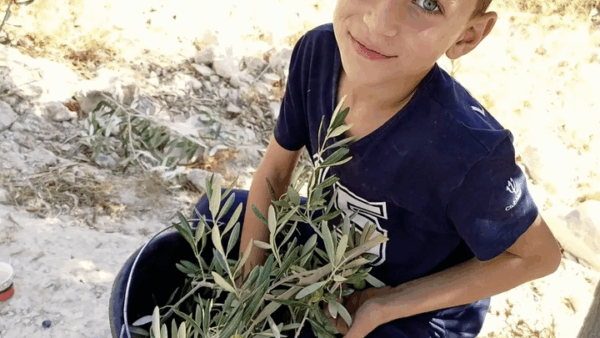 https://sadik-o.com - Surgery for my friends son