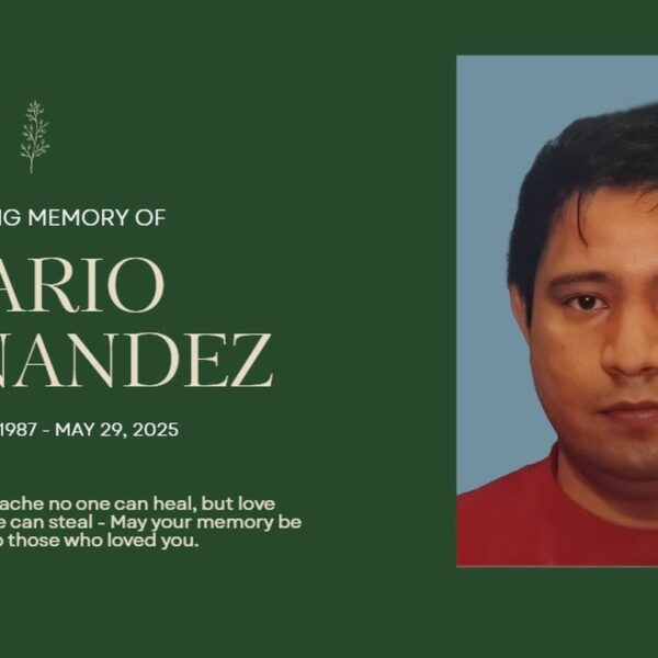 Mario Hernandez Torres - Image 2