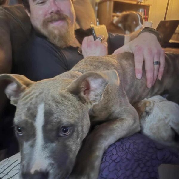 Support Amanda Fowler with Funeral Costs - Image 2