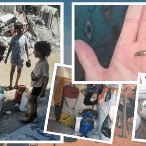 https://sadik-o.com - refugees and asylum seeekers - Help Dalia’s family