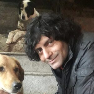 Doggly:  A better co-existence with unclaimed dogs