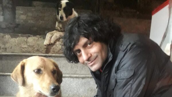 Doggly:  A better co-existence with unclaimed dogs