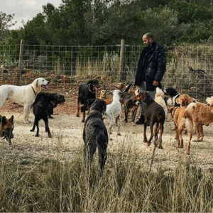 Abraham and Luna the dog singing in aid of Mojis Animal Sanctuary