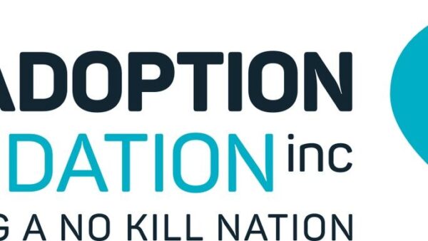 Fundraising for Cat Adoption Foundation
