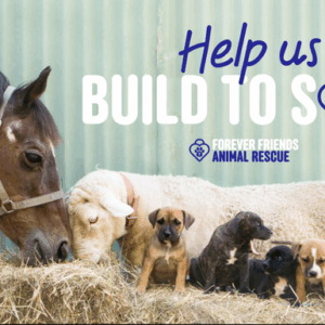 HELP US BUILD TO SAVE