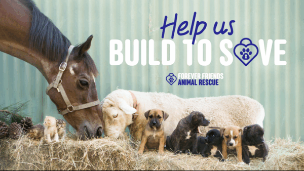 HELP US BUILD TO SAVE
