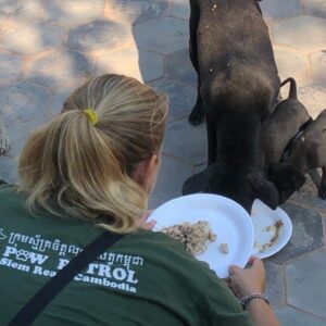 Feeding and Medical Outreach Patrol