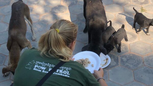 Feeding and Medical Outreach Patrol
