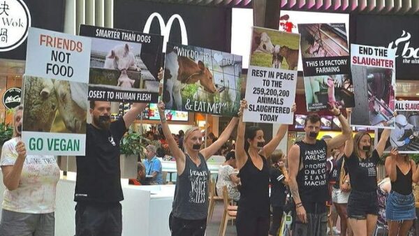Please help Direct Action Down Under buy its own Corflute Signs