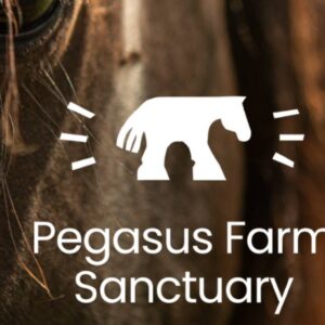Rescue farm animals with Pegasus Shelter
