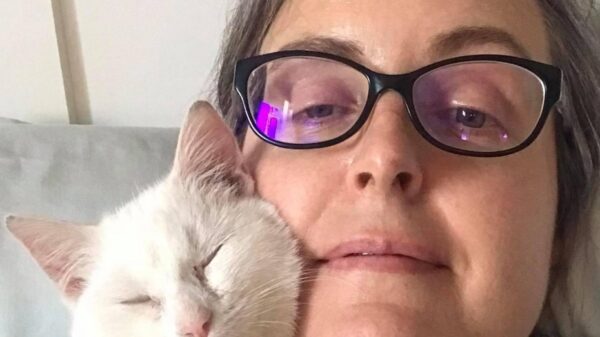Help Lucas pay vet