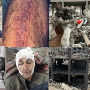 https://sadik-o.com - refugees and asylum seeekers - Help Ahmed's Family Survive After Losing Their Father