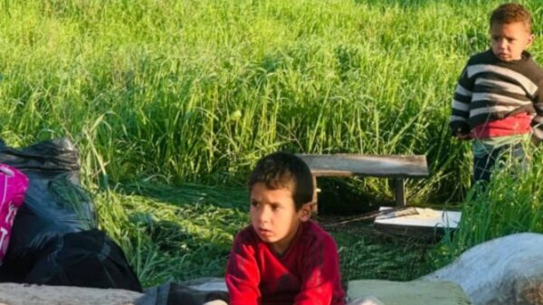 https://sadik-o.com - refugees and asylum seeekers - Help Doaa evacuate her children