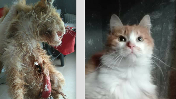 Billy - so deserving of a happy future