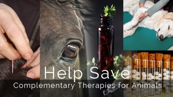 Help Save Complementary Therapies for Animals