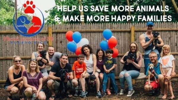 Help us change the world for the dogs and cats of Puerto Rico!