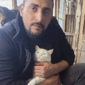Help Walid's Cat Shelter
