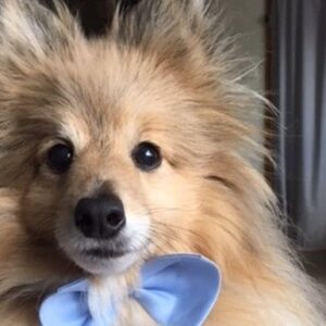 Help for Griffin