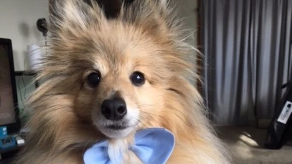 Help for Griffin