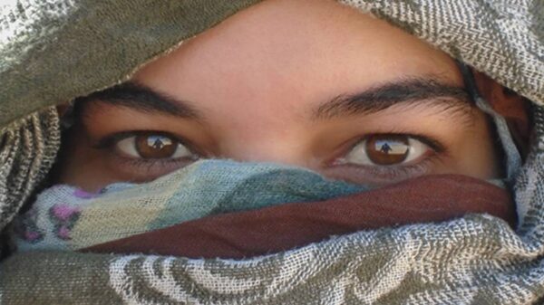 https://sadik-o.com - refugees and asylum seeekers - Saharawi Refugee Photography Teacher Training 2025
