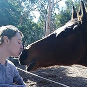 Forget Me Not Equine Sanctuary - a safe place for elderly horses