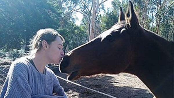 Forget Me Not Equine Sanctuary - a safe place for elderly horses