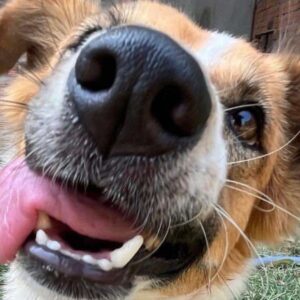 DONATE 4 CLAYS AMPUTATION