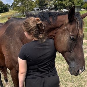 Help Sid, Gus & Dreamy Find Their Forever Home